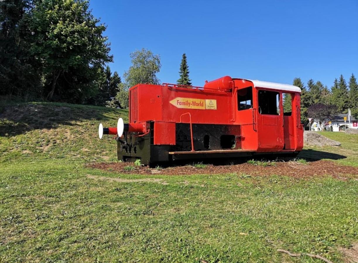 Ferienapartment Tesla Im Wellnesshotel - Bayerischer Wald Sankt Englmar Εξωτερικό φωτογραφία